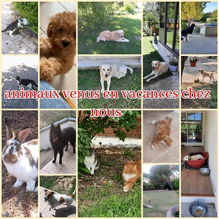Gite Ma Vie La 3 Etoiles, Jacuzzi, Animaux Acceptes Saint-Julien-de-Cassagnas エクステリア 写真