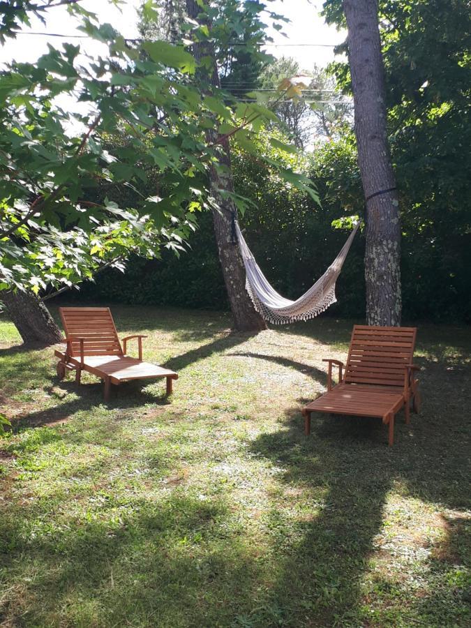 Gite Ma Vie La 3 Etoiles, Jacuzzi, Animaux Acceptes Saint-Julien-de-Cassagnas エクステリア 写真