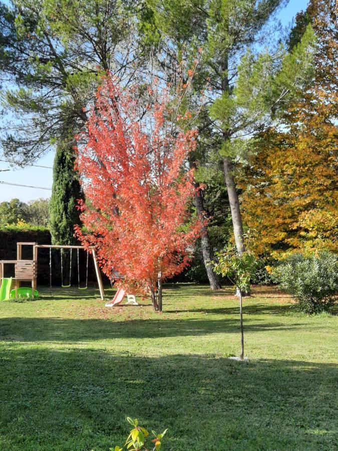 Gite Ma Vie La 3 Etoiles, Jacuzzi, Animaux Acceptes Saint-Julien-de-Cassagnas エクステリア 写真