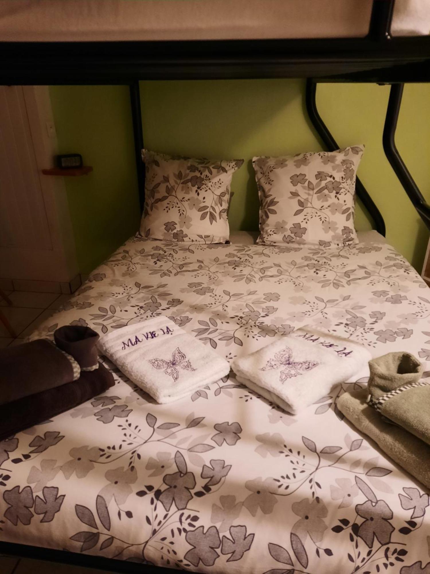 Gite Ma Vie La 3 Etoiles, Jacuzzi, Animaux Acceptes Saint-Julien-de-Cassagnas 部屋 写真