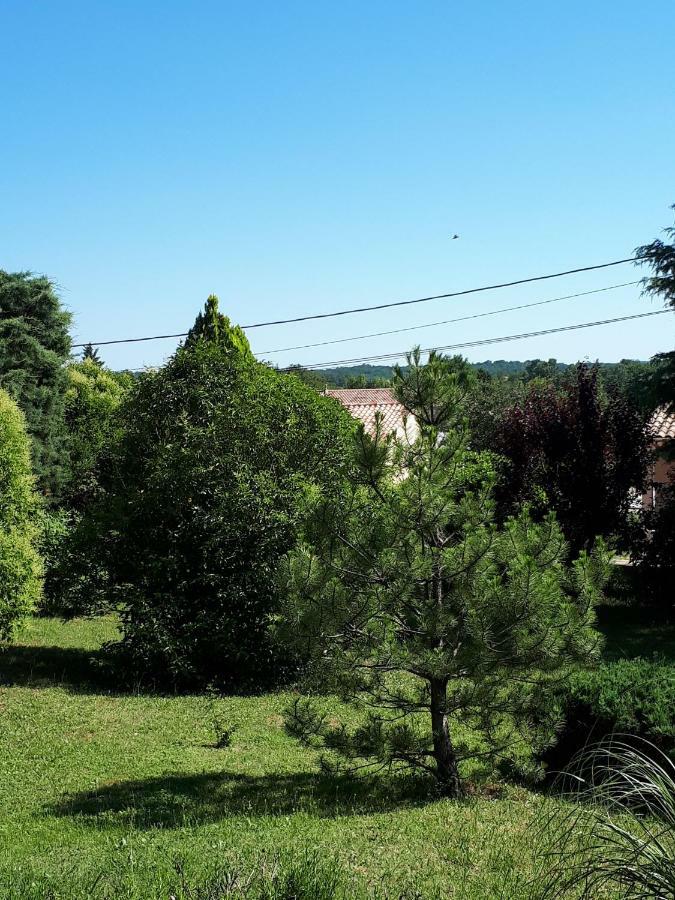 Gite Ma Vie La 3 Etoiles, Jacuzzi, Animaux Acceptes Saint-Julien-de-Cassagnas エクステリア 写真